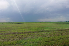 IMG_20260907_133628