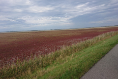 IMG_20260907_143953