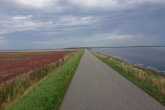 IMG_20260907_144012