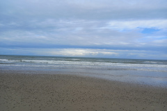 IMG_20260908_102547