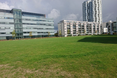 IMG_20260909_104220