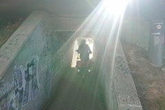 IMG_20260909_104613
