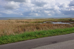 IMG_20260909_135403