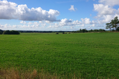 IMG_20260910_104827