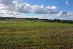 IMG_20260910_105015