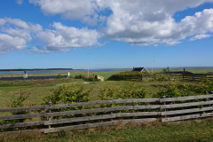 IMG_20260910_120437