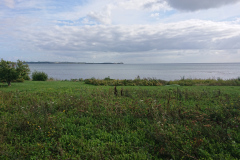 IMG_20260910_152932