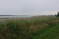 IMG_20260911_121853
