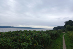 IMG_20260911_134115