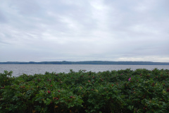 IMG_20260911_134119