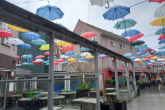 IMG_20260911_162533