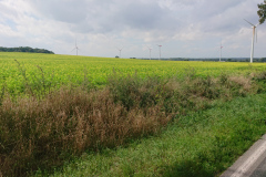 IMG_20260915_124649