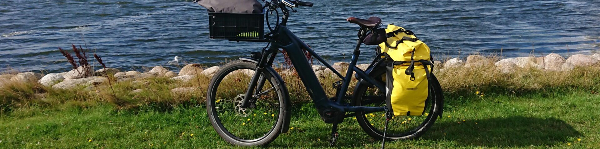 Liegerad und Pedelec fahren